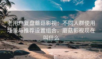 老用户复盘蘑菇影视：不同人群使用场景与推荐设置组合，蘑菇影视现在叫什么