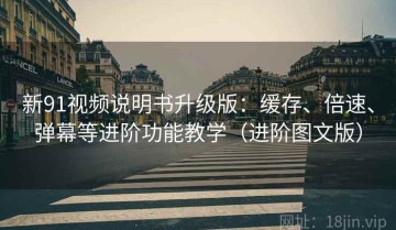 新91视频说明书升级版：缓存、倍速、弹幕等进阶功能教学（进阶图文版）