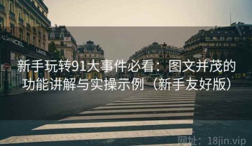 新手玩转91大事件必看：图文并茂的功能讲解与实操示例（新手友好版）