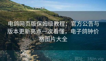 电鸽网页版保姆级教程：官方公告与版本更新亮点一次看懂，电子鸽钟价格图片大全