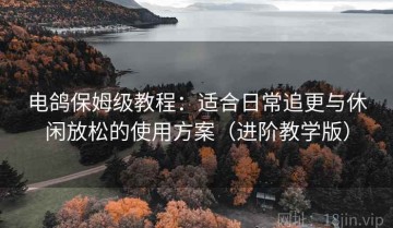 电鸽保姆级教程：适合日常追更与休闲放松的使用方案（进阶教学版）