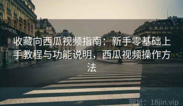 收藏向西瓜视频指南：新手零基础上手教程与功能说明，西瓜视频操作方法