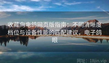 收藏向电鸽网页版指南：不同清晰度档位与设备性能的匹配建议，电子鸽眼