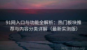 91网入口与功能全解析：热门板块推荐与内容分类详解（最新实测版）