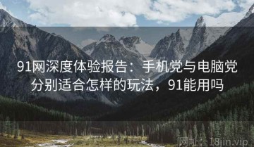 91网深度体验报告：手机党与电脑党分别适合怎样的玩法，91能用吗