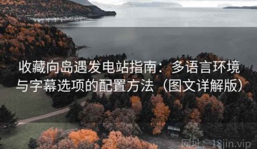 收藏向岛遇发电站指南：多语言环境与字幕选项的配置方法（图文详解版）