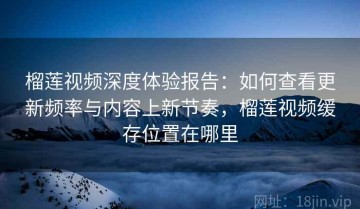 榴莲视频深度体验报告：如何查看更新频率与内容上新节奏，榴莲视频缓存位置在哪里