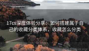 17cs深度体验分享：如何搭建属于自己的收藏分类体系，收藏怎么分类
