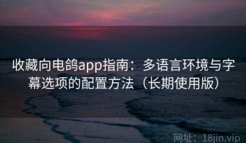 收藏向电鸽app指南：多语言环境与字幕选项的配置方法（长期使用版）