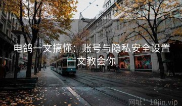电鸽一文搞懂：账号与隐私安全设置一文教会你