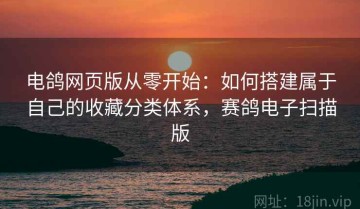 电鸽网页版从零开始：如何搭建属于自己的收藏分类体系，赛鸽电子扫描版