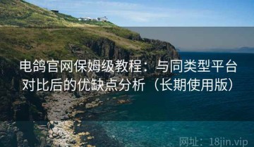 电鸽官网保姆级教程：与同类型平台对比后的优缺点分析（长期使用版）