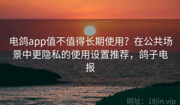 电鸽app值不值得长期使用？在公共场景中更隐私的使用设置推荐，鸽子电报