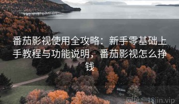 番茄影视使用全攻略：新手零基础上手教程与功能说明，番茄影视怎么挣钱