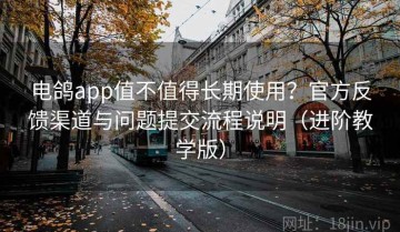 电鸽app值不值得长期使用？官方反馈渠道与问题提交流程说明（进阶教学版）