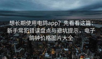 想长期使用电鸽app？先看看这篇：新手常犯错误盘点与避坑提示，电子鸽钟价格图片大全
