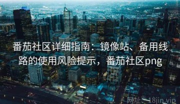 番茄社区详细指南：镜像站、备用线路的使用风险提示，番茄社区png