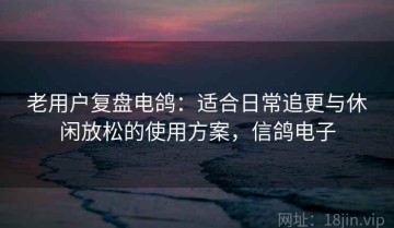 老用户复盘电鸽：适合日常追更与休闲放松的使用方案，信鸽电子