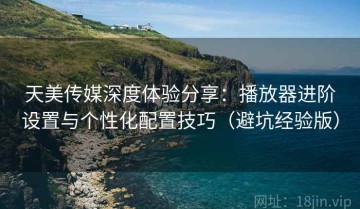 天美传媒深度体验分享：播放器进阶设置与个性化配置技巧（避坑经验版）