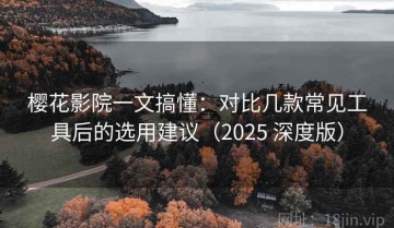 樱花影院一文搞懂：对比几款常见工具后的选用建议（2025 深度版）