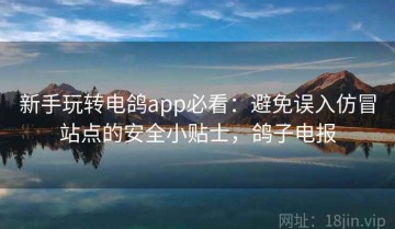 新手玩转电鸽app必看：避免误入仿冒站点的安全小贴士，鸽子电报