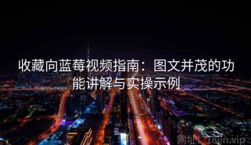 收藏向蓝莓视频指南：图文并茂的功能讲解与实操示例