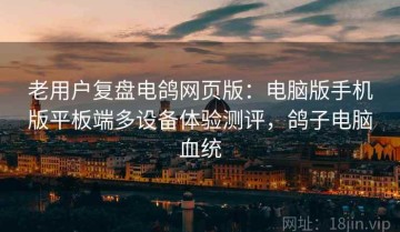 老用户复盘电鸽网页版：电脑版手机版平板端多设备体验测评，鸽子电脑血统