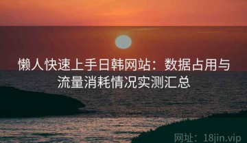 懒人快速上手日韩网站：数据占用与流量消耗情况实测汇总