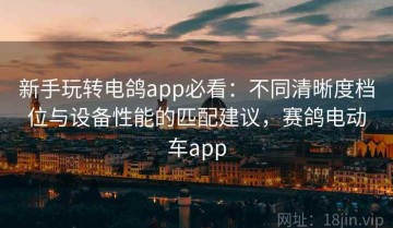 新手玩转电鸽app必看：不同清晰度档位与设备性能的匹配建议，赛鸽电动车app