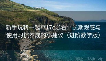 新手玩转一起草17c必看：长期观感与使用习惯养成的小建议（进阶教学版）