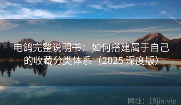 电鸽完整说明书：如何搭建属于自己的收藏分类体系（2025 深度版）