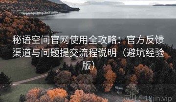 秘语空间官网使用全攻略：官方反馈渠道与问题提交流程说明（避坑经验版）
