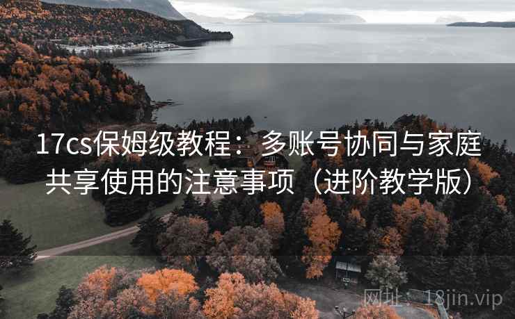 17cs保姆级教程：多账号协同与家庭共享使用的注意事项（进阶教学版）