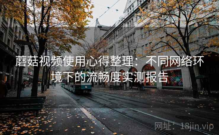 蘑菇视频使用心得整理：不同网络环境下的流畅度实测报告
