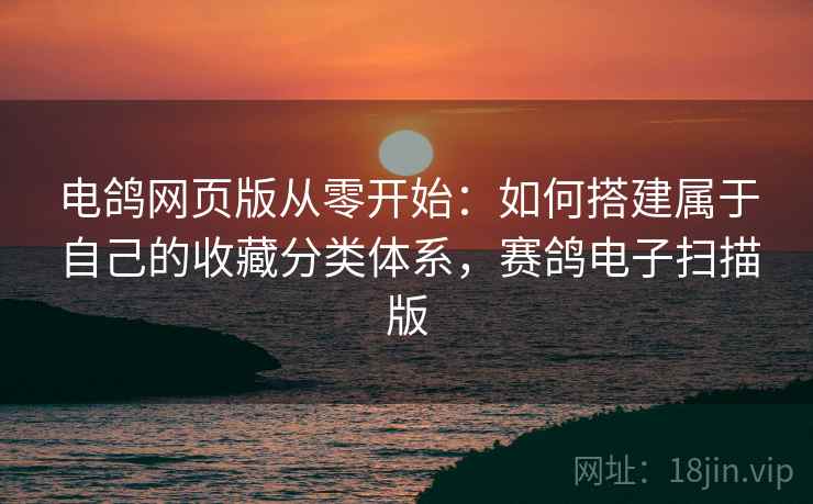 电鸽网页版从零开始：如何搭建属于自己的收藏分类体系，赛鸽电子扫描版