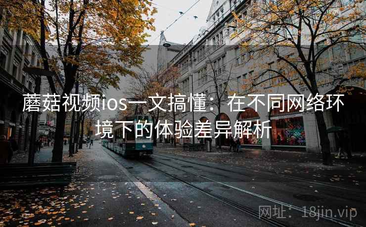 蘑菇视频ios一文搞懂：在不同网络环境下的体验差异解析
