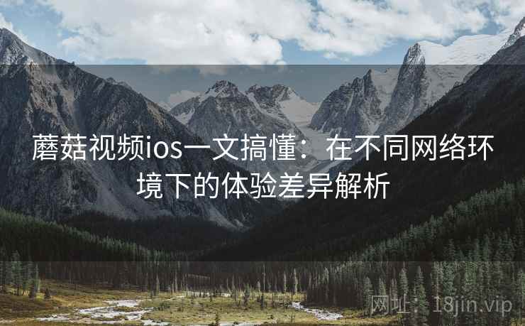 蘑菇视频ios一文搞懂：在不同网络环境下的体验差异解析