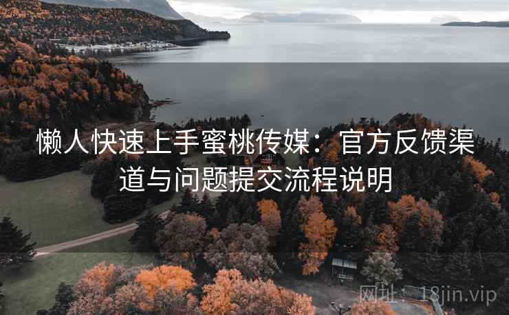 懒人快速上手蜜桃传媒：官方反馈渠道与问题提交流程说明