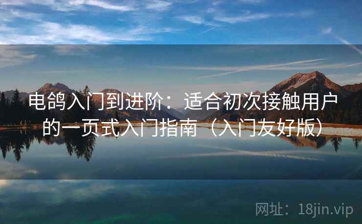 电鸽入门到进阶：适合初次接触用户的一页式入门指南（入门友好版）