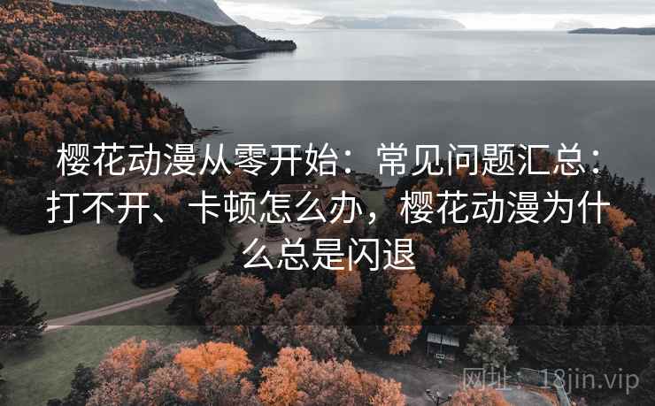 樱花动漫从零开始：常见问题汇总：打不开、卡顿怎么办，樱花动漫为什么总是闪退
