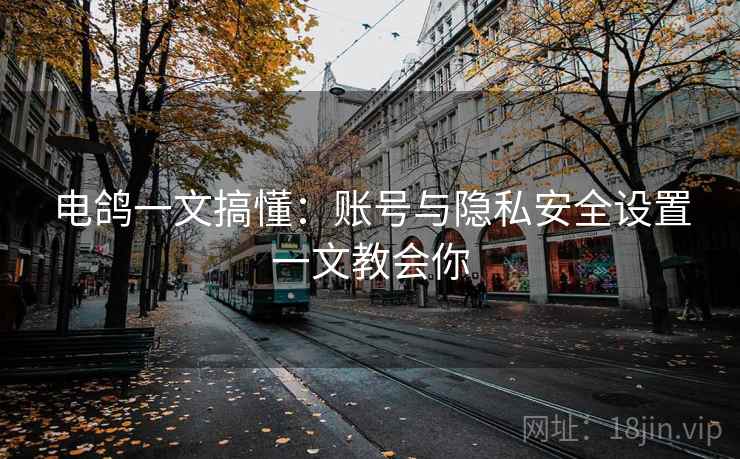 电鸽一文搞懂：账号与隐私安全设置一文教会你