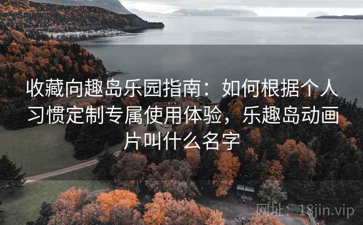 收藏向趣岛乐园指南：如何根据个人习惯定制专属使用体验，乐趣岛动画片叫什么名字