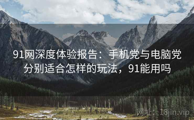 91网深度体验报告：手机党与电脑党分别适合怎样的玩法，91能用吗