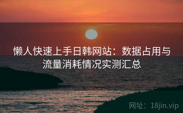 懒人快速上手日韩网站：数据占用与流量消耗情况实测汇总