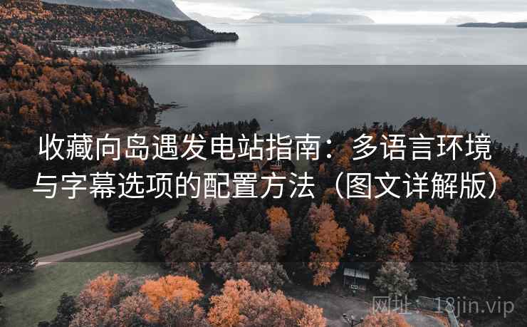 收藏向岛遇发电站指南：多语言环境与字幕选项的配置方法（图文详解版）