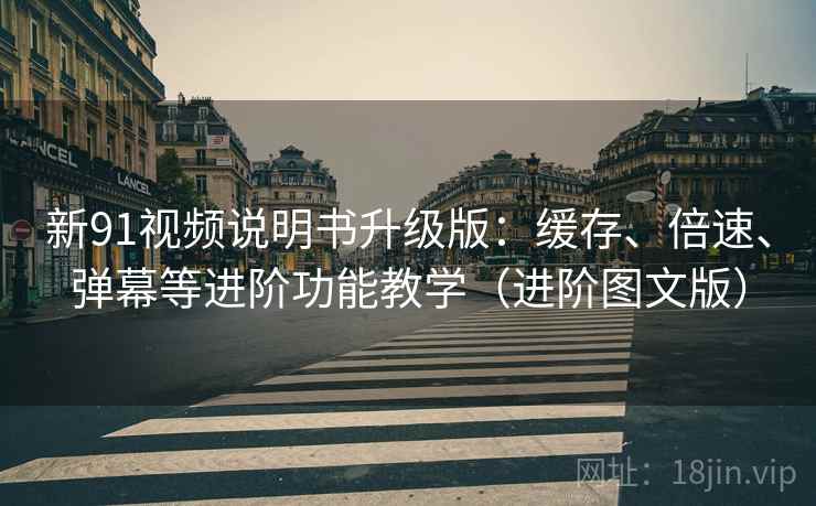 新91视频说明书升级版：缓存、倍速、弹幕等进阶功能教学（进阶图文版）