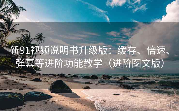 新91视频说明书升级版：缓存、倍速、弹幕等进阶功能教学（进阶图文版）