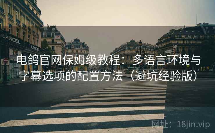电鸽官网保姆级教程:多语言环境与字幕选项的配置方法(避坑经验版) 电鸽官网保姆级教程:多语言环境与字幕选项的配置方法(避坑经验版)