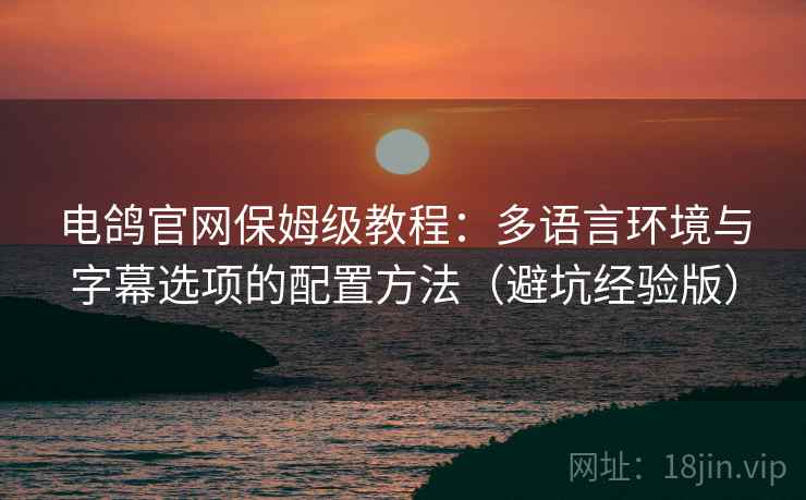电鸽官网保姆级教程:多语言环境与字幕选项的配置方法(避坑经验版) 电鸽官网保姆级教程:多语言环境与字幕选项的配置方法(避坑经验版)