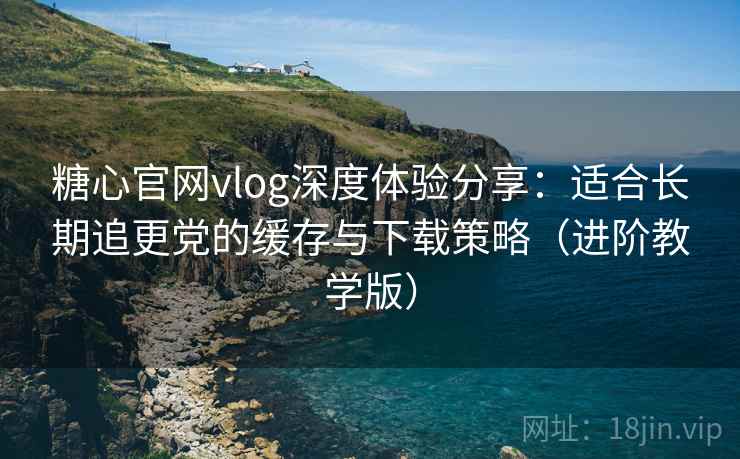 糖心官网vlog深度体验分享：适合长期追更党的缓存与下载策略（进阶教学版）